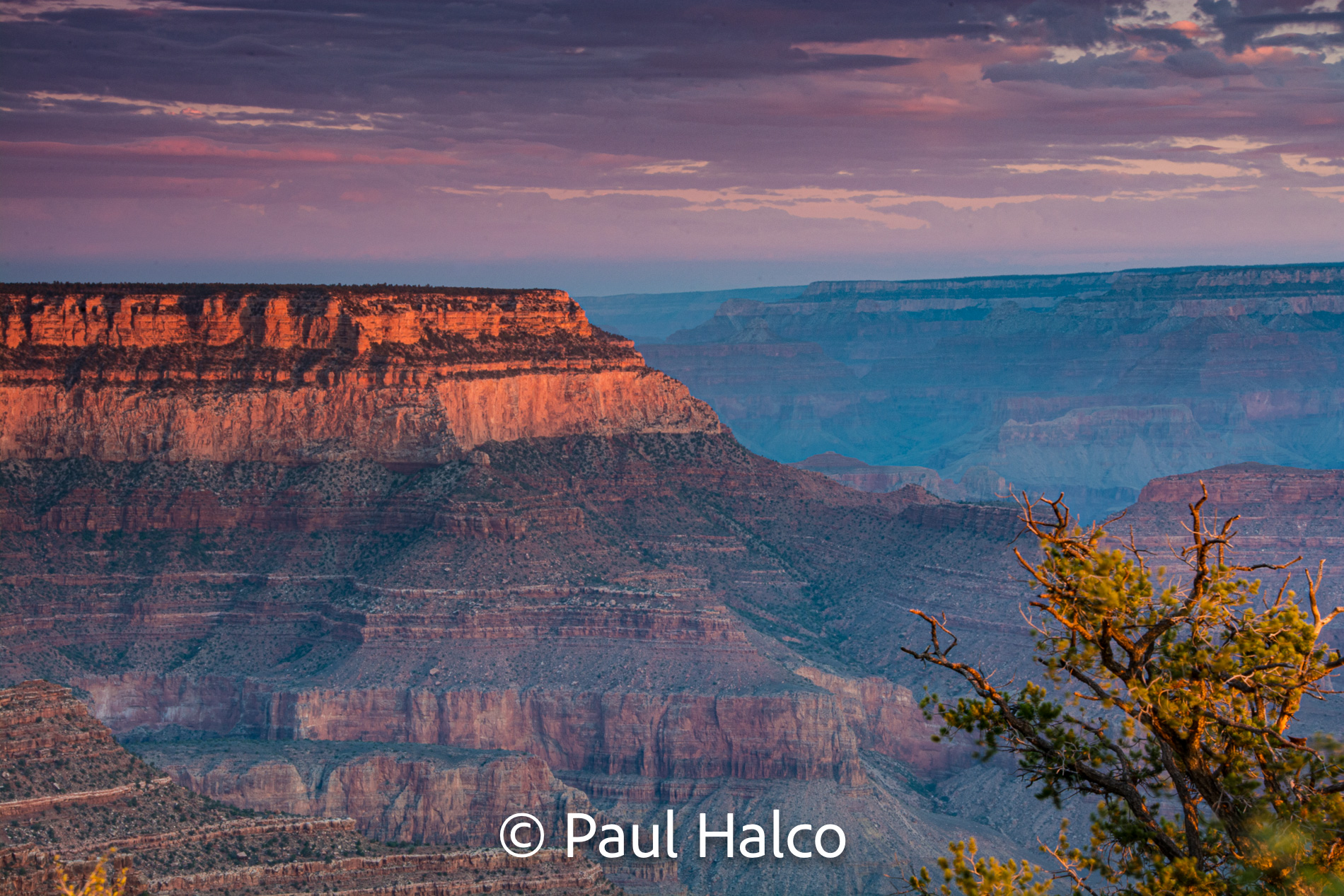 Paul Halco - Grand Canyon NP-3